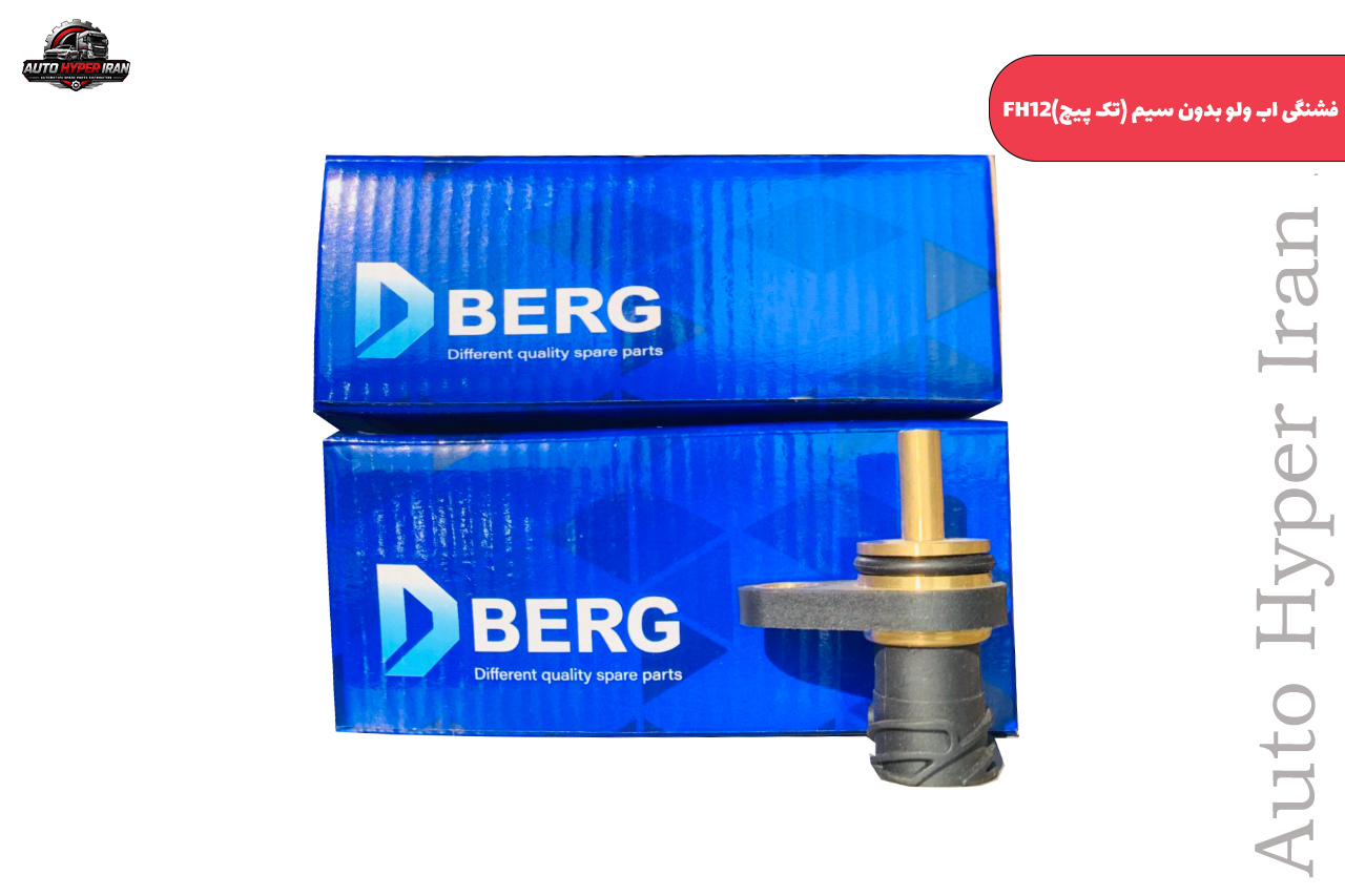 فشنگی اب ولو بدون سیم (تک پیچ) فشنگی اب ولو بدون سیم (تک پیچ)D BERG- FH12 - تصویر 1